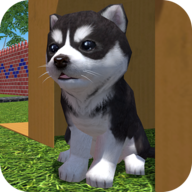 Cute Pocket Puppy 3D — Part 2 1.0.9.9